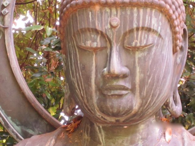 Buddha head